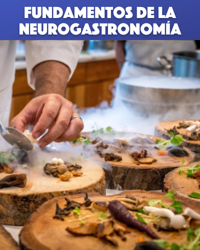 Fundamentos de la Neurogastronomía 