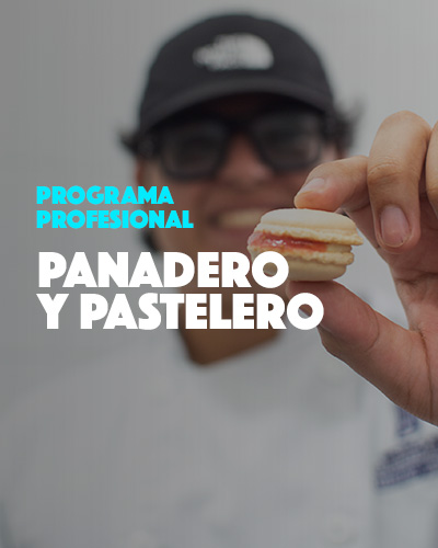 Panadero y Pastelero Profesional